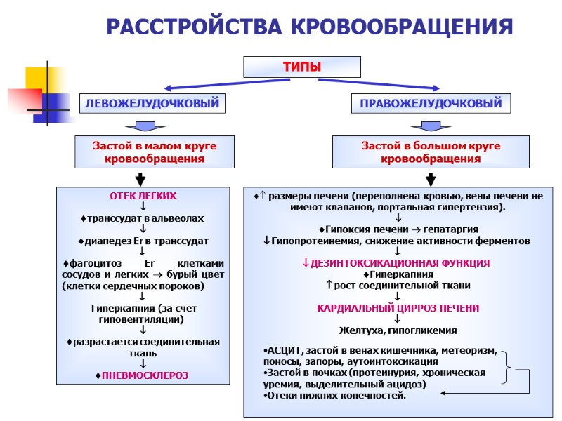 ТИПЫ ЛЕВОЖЕЛУДОЧКОВЫЙ ПРАВОЖЕЛУДОЧКОВЫЙ Застой в малом круге кровообращения  Застой в большом круге кровообращения